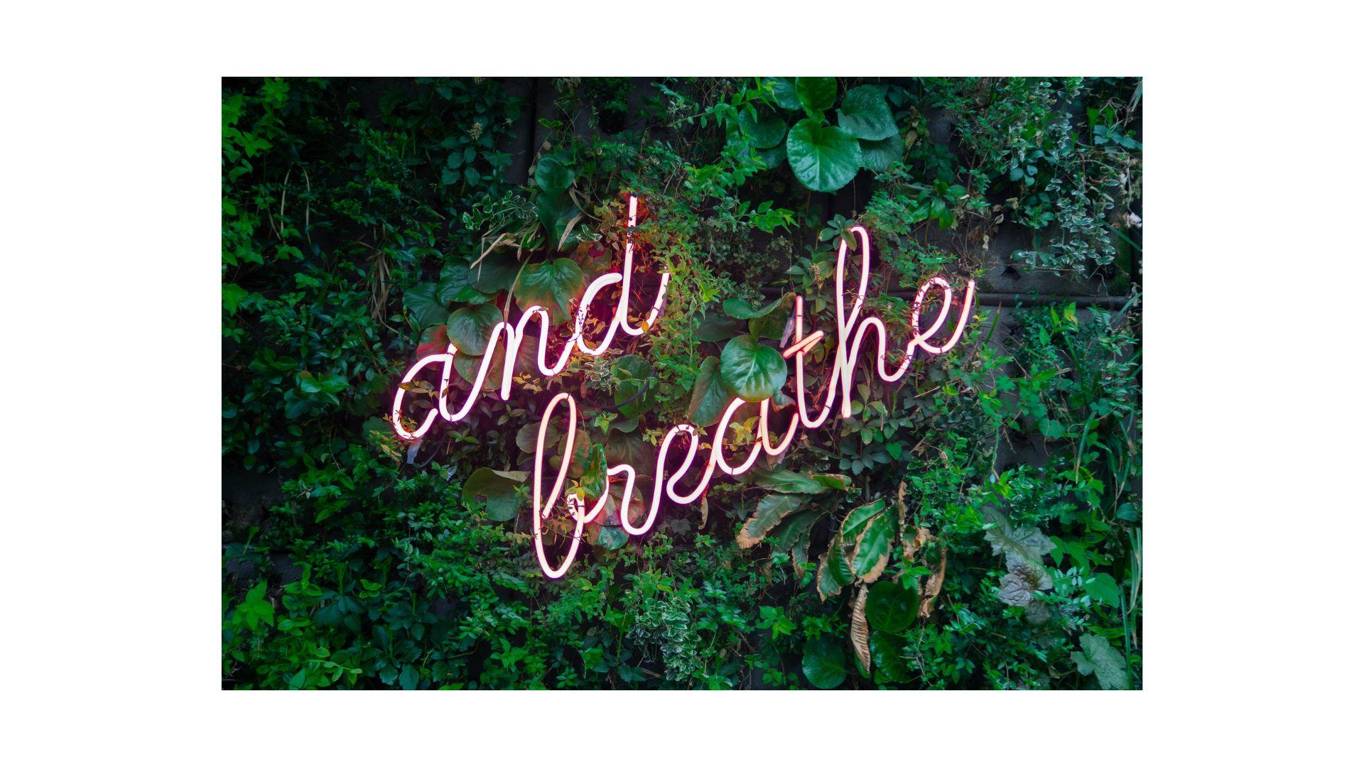 exercice respiration relaxation introspection